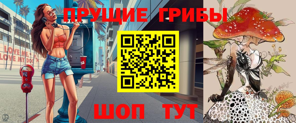 Волоколамск  Псилоцибиновые грибы Psilocybe  Вход с VPN  Галлюциногенные грибы ЛСД 